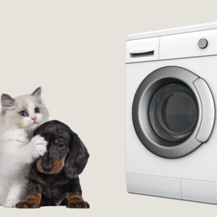 Best Washing Machines for pet hair featured image