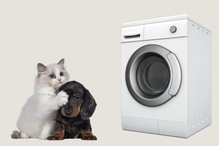 Best Washing Machines for pet hair featured image