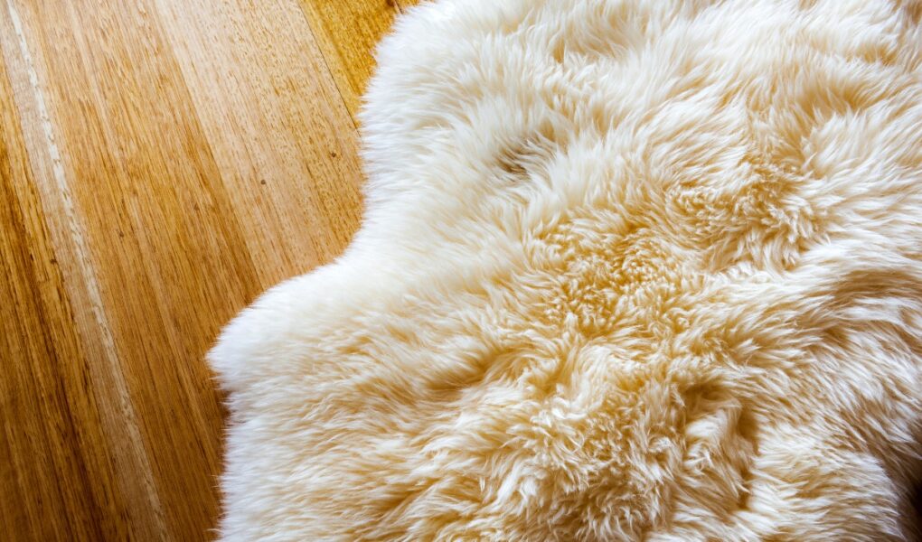 How to wash a sheepskin rug featured image