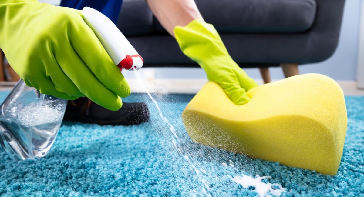 Close-up of a person's hand in a bright green rubber glove spraying a cleaning solution onto a blue carpet, with a foam sponge ready to tackle the stain, against a backdrop of a gray couch.